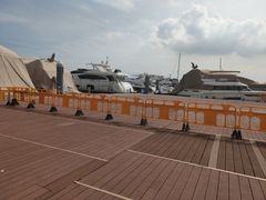 -五缘湾游艇帆船俱乐部