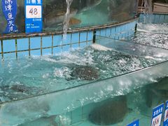 -黄埔华苑酒家(黄埔店)