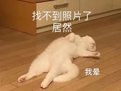 -爱上酸嘢