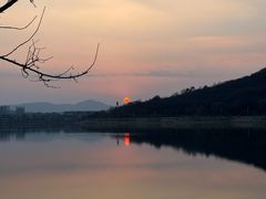 -羊山湖公园