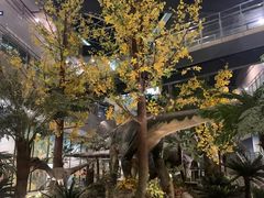 -湖南省地质博物馆