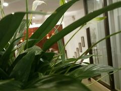 -唐诗楼(竹林庭院店)