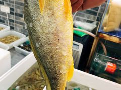 -阿杰臻选海鲜饭店(普陀山店)