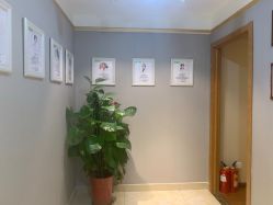 -Dr.林醫生产后修复·配方产康(南京江宁万达店)