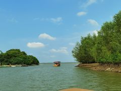 -东寨港红树林旅游区