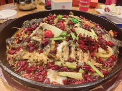 -老板恋上鱼(高新万达店)