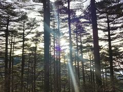 -光明顶山庄