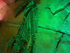 -醉小酒馆·川菜·江湖菜·重庆菜(观音桥旗舰店)