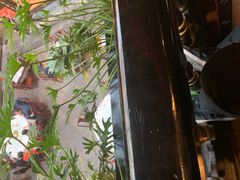 -蔼若春.传承三十年云南菜(金碧公园店)