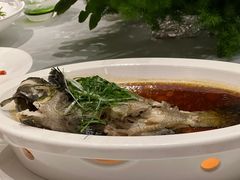 -梧桐餐厅(泉城路店)