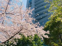 -星海广场(地铁站)