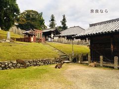-枫雅和服体验(奈良店)