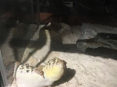 -山东嘉汇文化用品有限公司张店凤凰国际分公司(新村西路店)