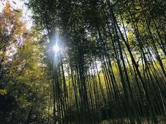 -终南山古楼观历史文化景区