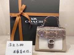 -COACH蔻驰(银泰店)