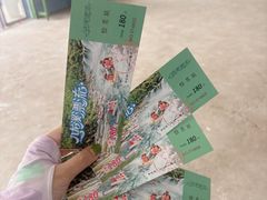 -千岛湖九龙溪漂流