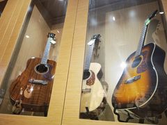 -柏斯琴行(汾阳店)