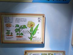 -上海昆虫博物馆