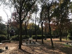 -上海海湾国家森林公园