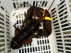 -范饭椰林川湘味海鲜·椰子鸡(三亚湾椰梦长廊店)