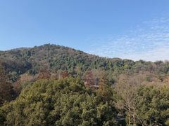 -杭州花家山庄