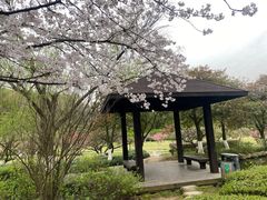 -白马涧龙池景区