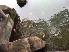 -白马涧龙池景区