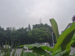 -重庆平顶山公园