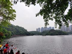 -重庆彩云湖湿地公园
