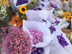 -沪花拾者(好再来花卉鲜花店)