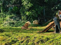 -海南热带野生动植物园