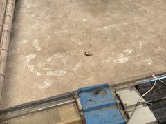 -台州博物馆
