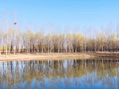 -东郊湿地公园