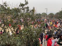 -枫香湖儿童公园