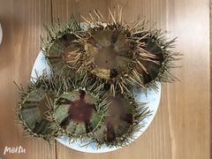 -海胆小馆(东北水饺·春柳店)