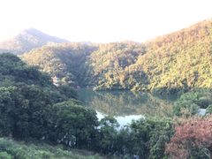 -鼎湖山风景区