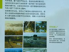 -同里国家湿地公园
