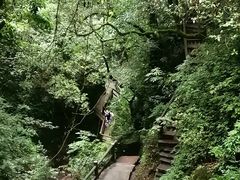 -青城山