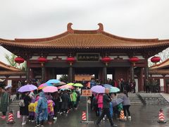 -神州牡丹园