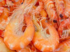 -天天海鲜城·海鲜大排档(新溪店)