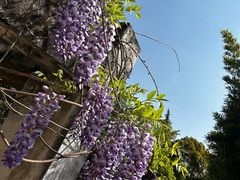 -云南师范大学(一二一西南联大校区)