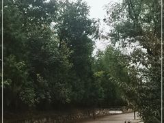-北京鹫峰国家森林公园