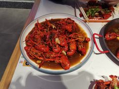 -杨氏青龙虾·羊蝎子(托乐嘉店)