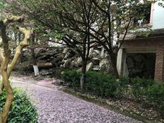 -北川老县城地震遗址