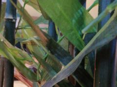 -喜满客影城(汉神广场店)