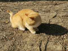 -野鸭湖国家湿地公园