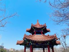 -大连植物园