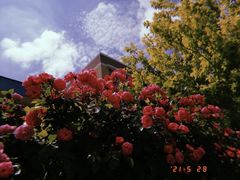 -黑石礁公园