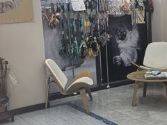 -瑞派名望24h动物医院异宠专科·猫专科·骨科·重症监护分院
