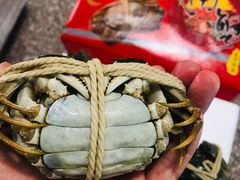 -喜洋洋蟹庄(阳澄湖店)